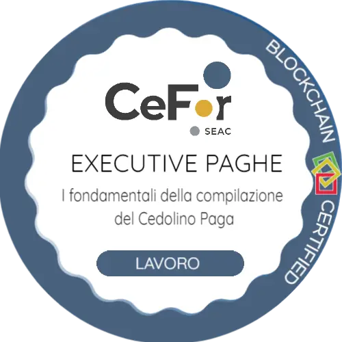 Badge pubblico 32824